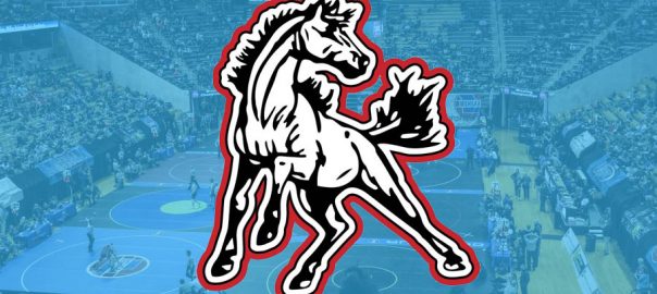 Ortiz ready to finalize legacy at McDonald County
