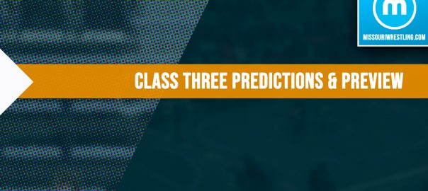 Class 3 Predictions and Preview