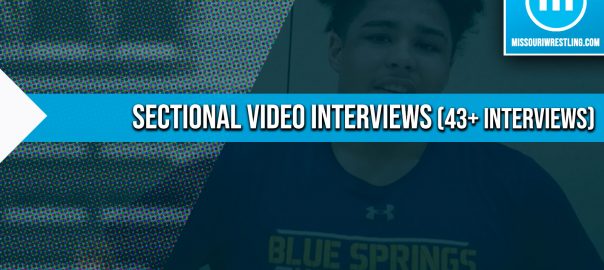 Sectional Interviews (43+ interviews)