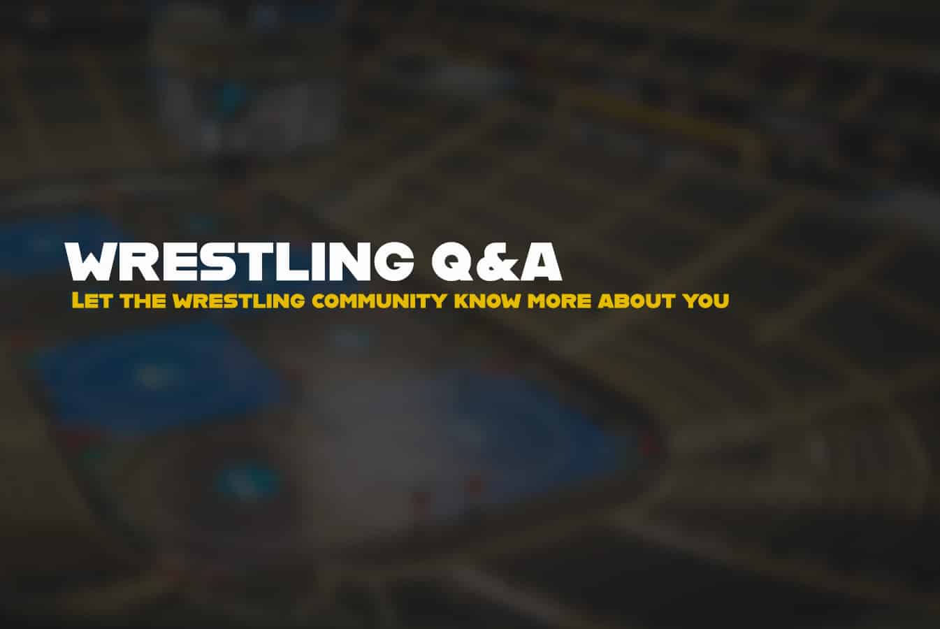 Q&A