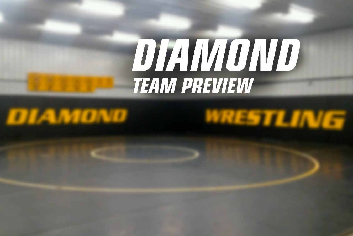Team Preview: Diamond
