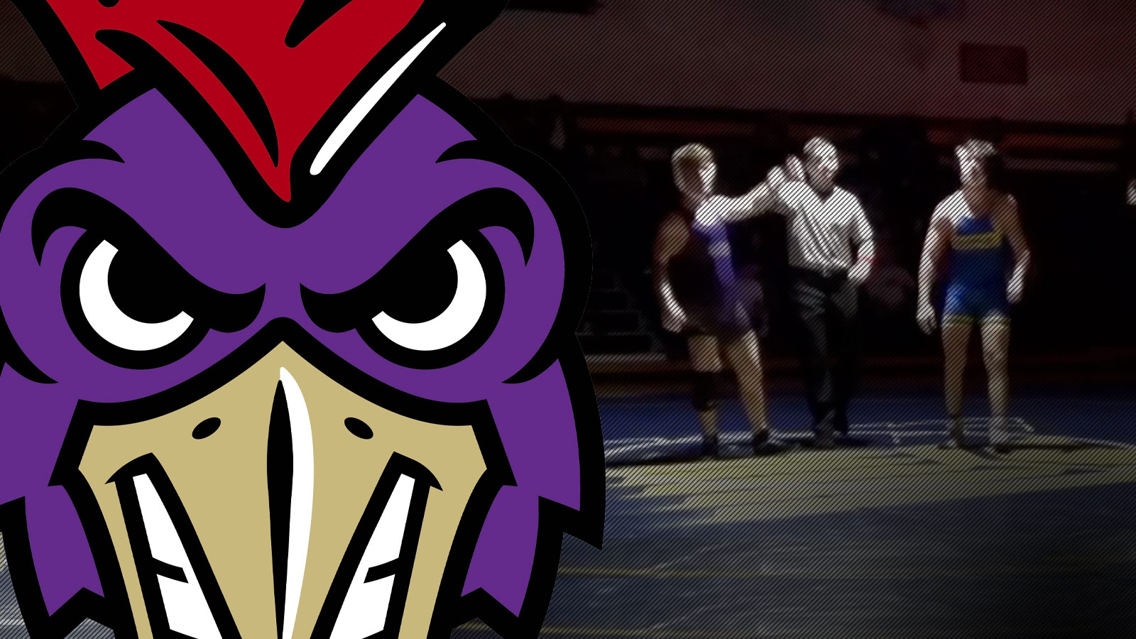 Warriors And Guardians Test Dynastic Roosters
