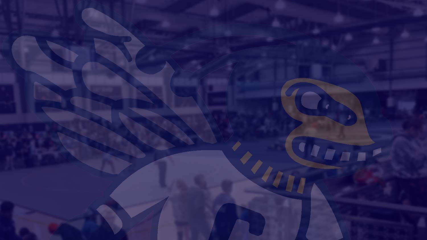 Center Wrestling is Feeling good heading into the Holidays