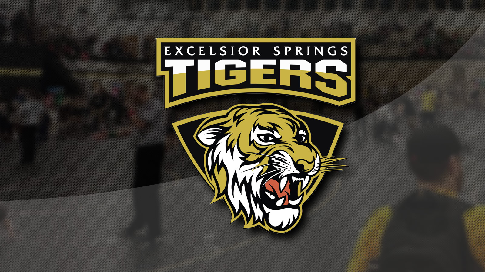Excelsior Springs Tiger Class Tournament Recap