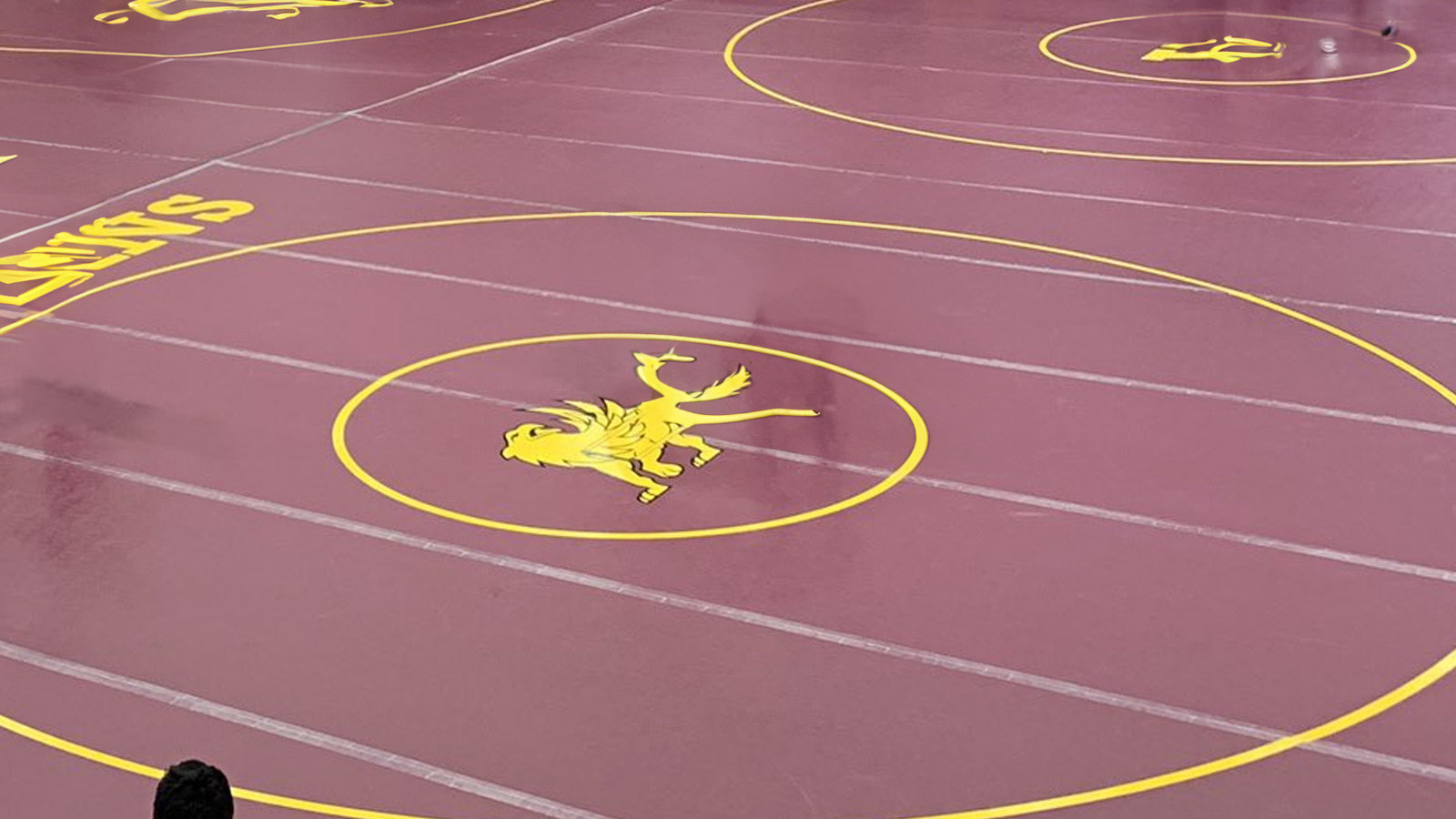 Senior Standouts and Rising Stars: A Recap of the Tri Dual Wrestling Showdown
