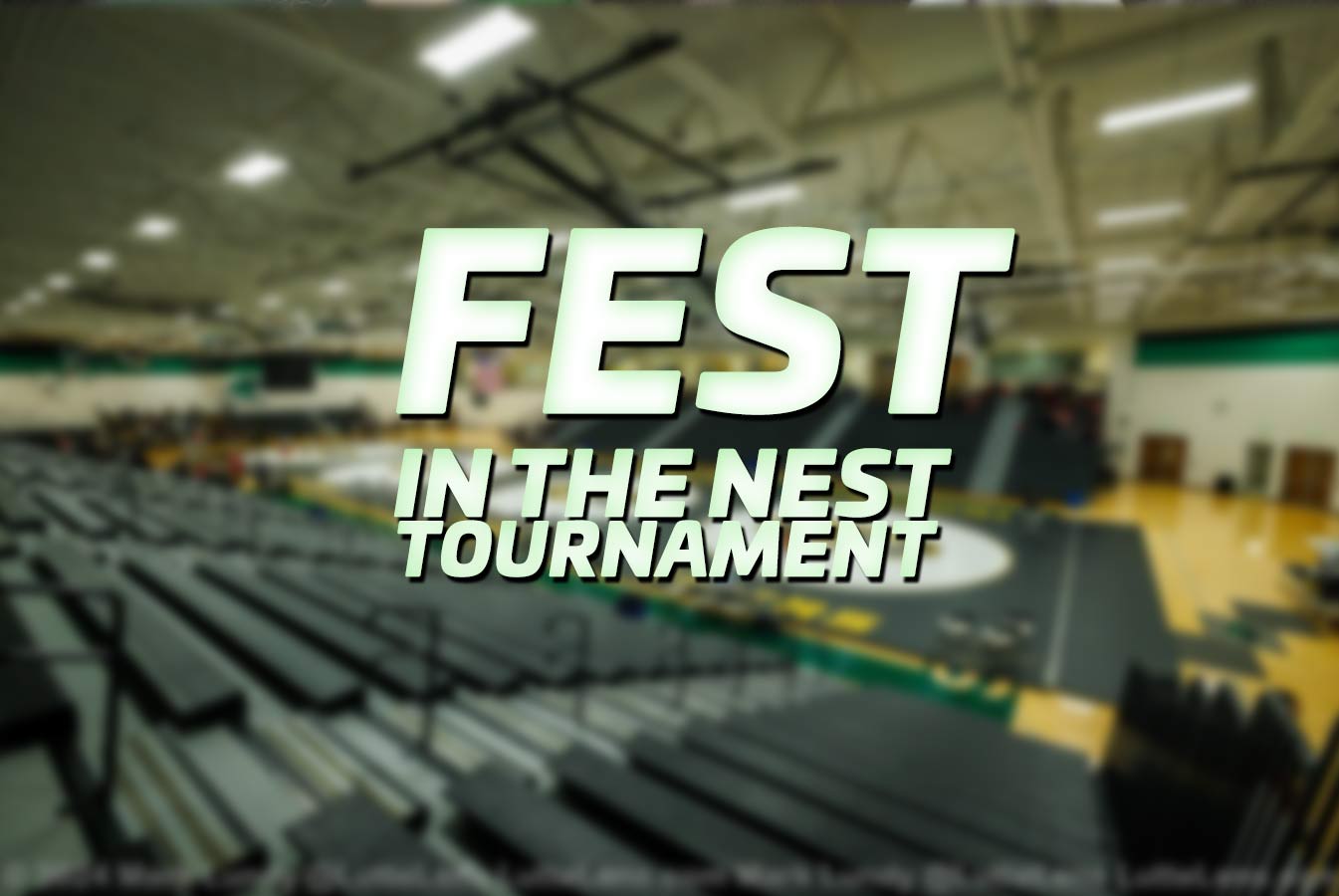 Staley Fest in the Nest Tournament