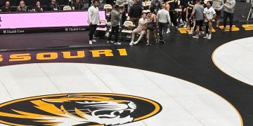 Preview: Tiger Style Invite
