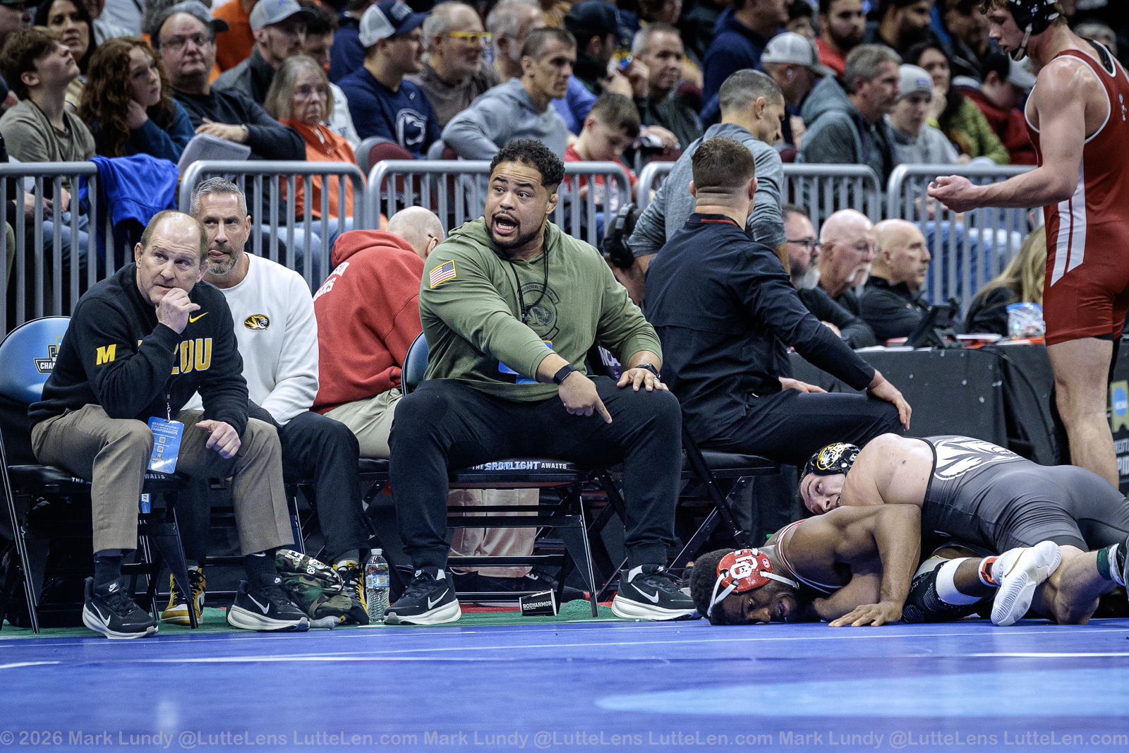 Hunting for All-American Honors: Four Tigers Advance to Day Two